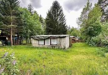 459964-Vorschaubild4