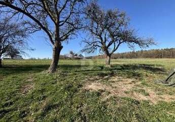 460145-Vorschaubild4