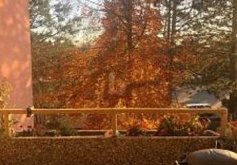 GROßER BALKON, MODERNE AUSSTATTUNG & RUHE