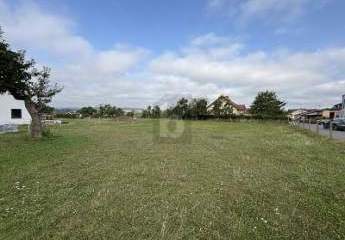 458561-Vorschaubild4