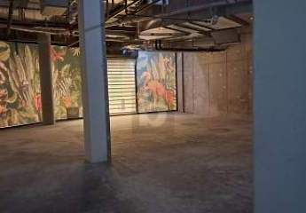 459853-Vorschaubild2