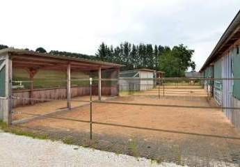 460156-Vorschaubild3