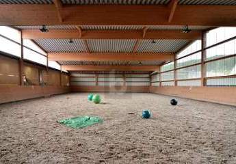 460156-Vorschaubild4