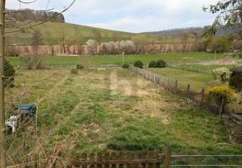 459891-Vorschaubild3