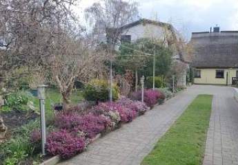 459905-Vorschaubild2