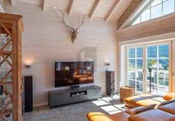 459923-Vorschaubild3