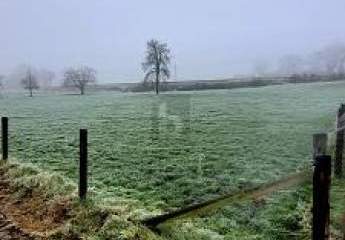 460365-Vorschaubild2