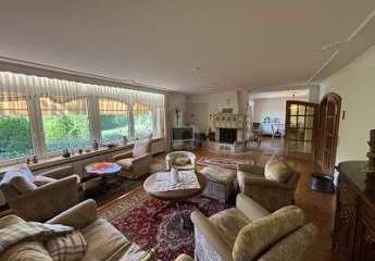 460146-Vorschaubild3