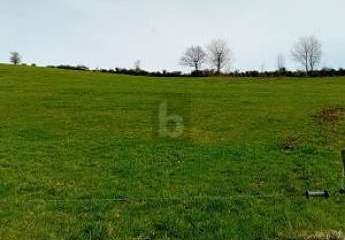 459914-Vorschaubild2