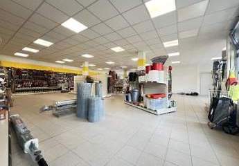 459936-Vorschaubild4