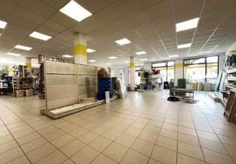 459936-Vorschaubild3