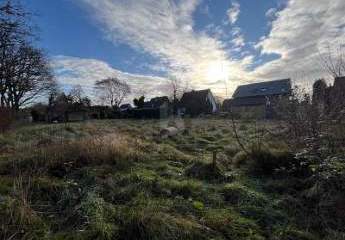 459503-Vorschaubild3