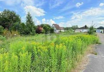 458732-Vorschaubild2