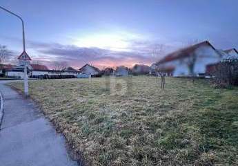 460881-Vorschaubild2