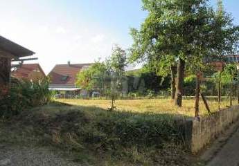 459818-Vorschaubild4