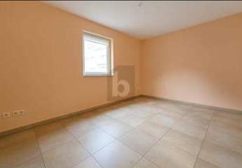 460155-Vorschaubild4