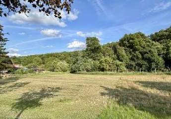 459877-Vorschaubild2