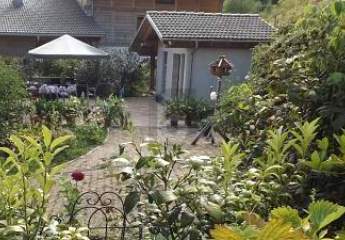 461002-Vorschaubild4