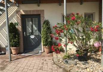 459947-Vorschaubild4