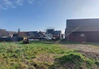 461009-Vorschaubild2