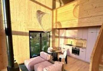 458217-Vorschaubild3