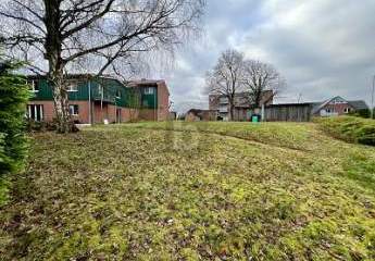 461534-Vorschaubild3