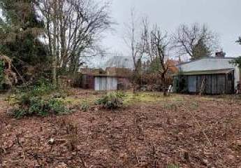 458029-Vorschaubild2