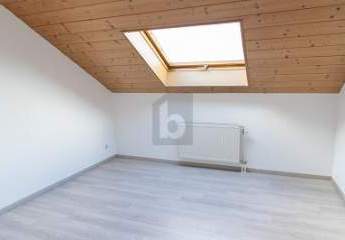 461547-Vorschaubild2