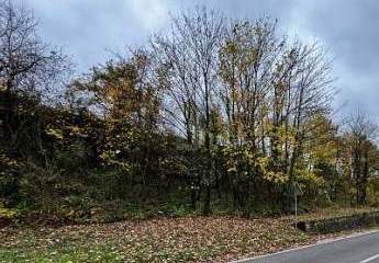 531QM EXKLUSIVES MOSELGOLDSTÜCK IN BESTLAGE