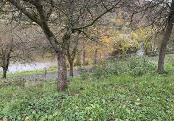 461623-Vorschaubild3