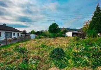 457823-Vorschaubild3