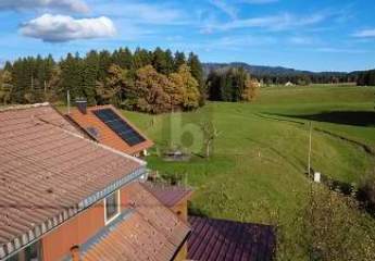 461602-Vorschaubild2