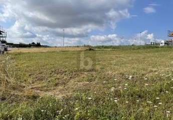 WO DIE TRÄUME WAHR WERDEN KÖNNEN