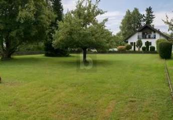 457197-Vorschaubild4