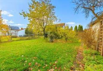 458899-Vorschaubild2