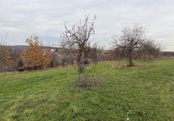 IDYLLISCHES FLECKEN NATUR