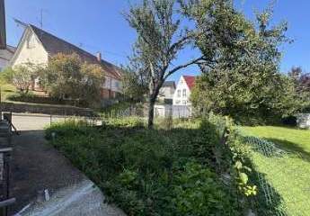 462025-Vorschaubild3