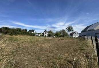 460833-Vorschaubild3