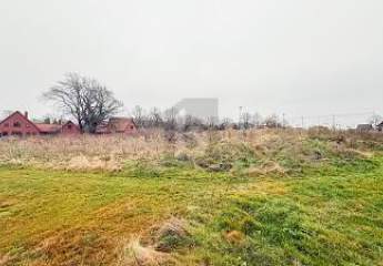 462031-Vorschaubild3