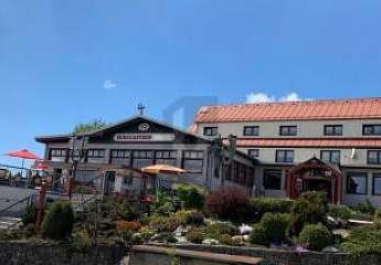 458057-Vorschaubild2