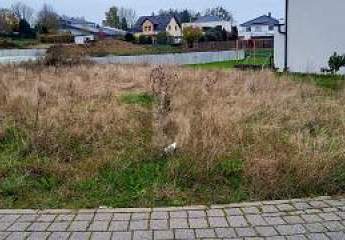 462042-Vorschaubild2