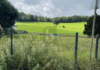 462065-Vorschaubild2