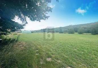 459876-Vorschaubild2