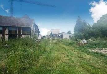 459876-Vorschaubild3