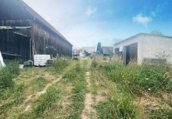 459876-Vorschaubild4