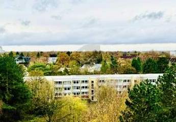 FIRMEN DOMIZIL OBERHALB DER BAUMKRONEN