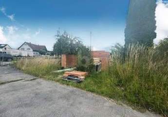 461830-Vorschaubild3