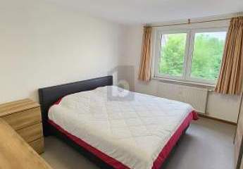 458413-Vorschaubild3