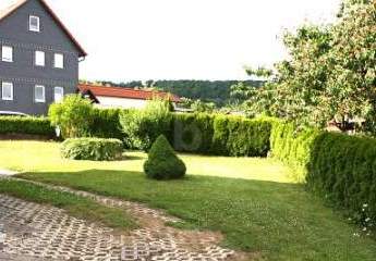 457229-Vorschaubild4