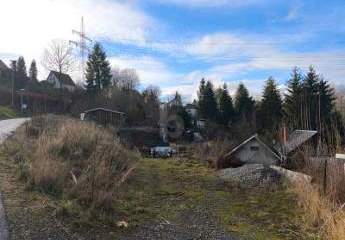 462100-Vorschaubild2